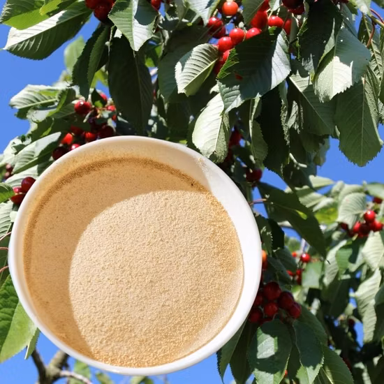 Minerali chelati del fertilizzante del calcio del chelato dell'amminoacido